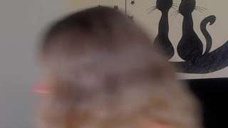 kattyykatt