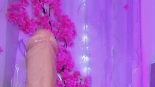 habiy069