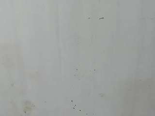 LauDreamgirl